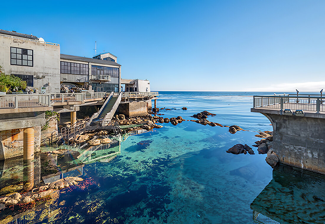 Monterey Bay Aquarium