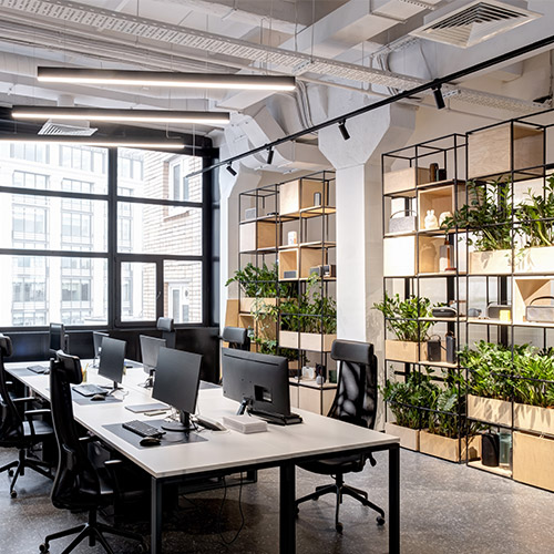 Office with plants